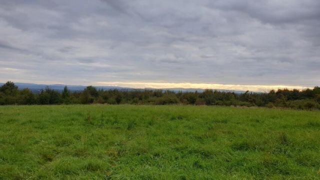 Działka budowlana Odrzykoń, ul. Piekło. Zdjęcie 4