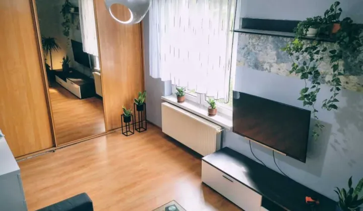 Mieszkanie 3-pokojowe Kudowa-Zdrój