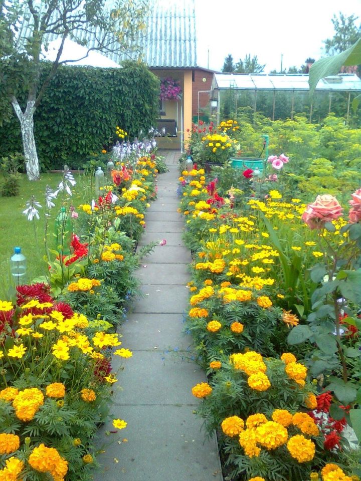 Działka rod Człuchów, ul. Koszalińska. Zdjęcie 6