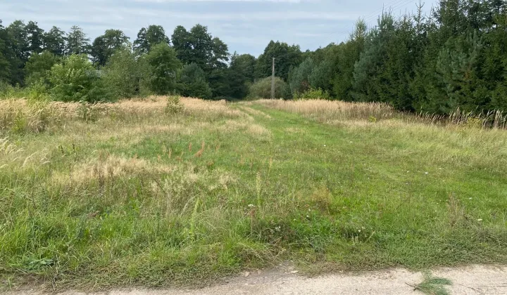 Działka rekreacyjna Rożny