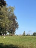 Działka siedliskowa Budy Dłutowskie. Zdjęcie 3