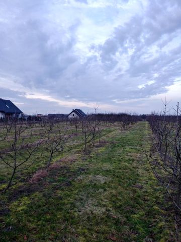 Działka budowlana Tryszczyn, ul. Sadownicza. Zdjęcie 1