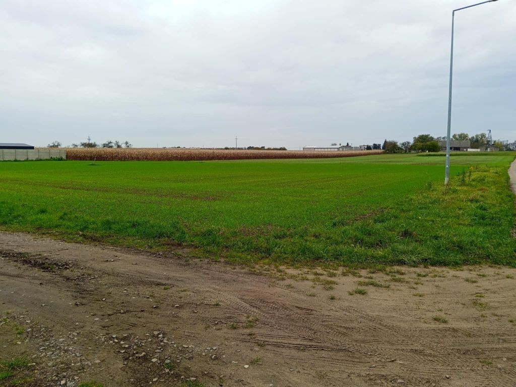 Działka budowlana Wielka Wieś. Zdjęcie 3