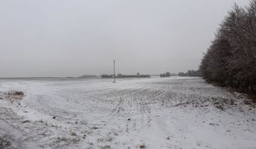 Działka rolna Ostrowite