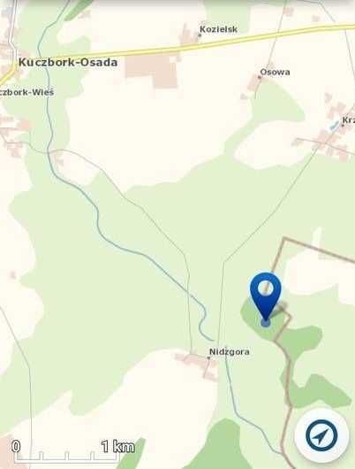 Działka leśna Nidzgora. Zdjęcie 2