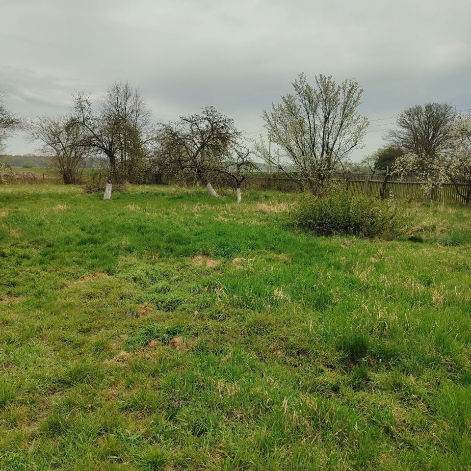 gospodarstwo Zawiść. Zdjęcie 5