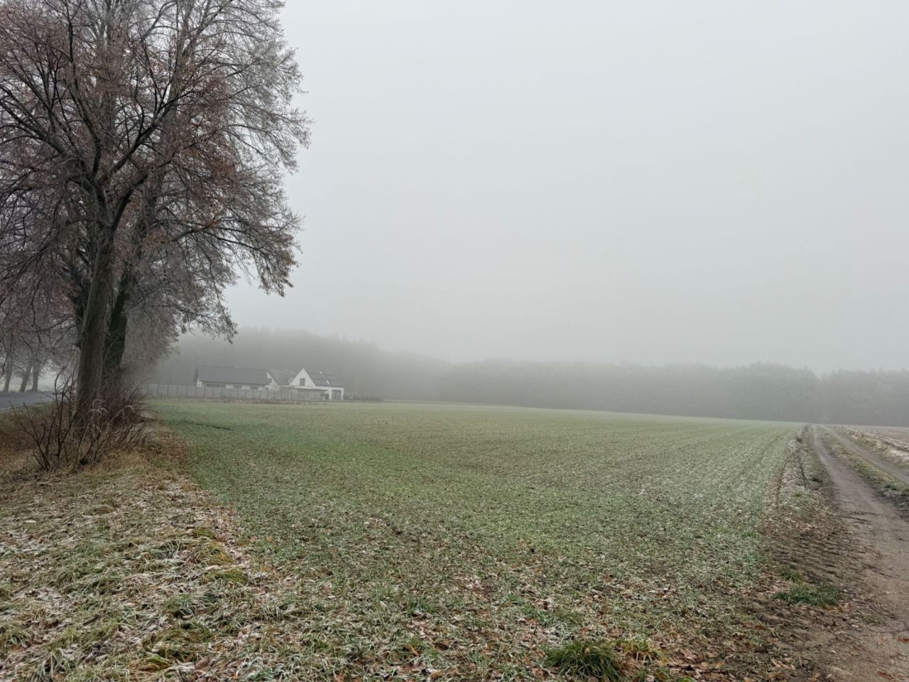 Działka budowlana Trójka. Zdjęcie 1