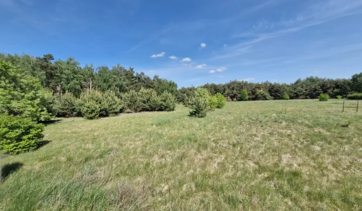 Działka budowlana Kolankowo, ul. Leśna