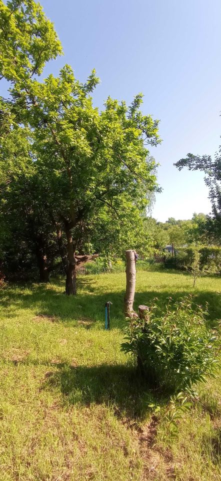 Działka rod Gniezno, ul. prof. Józefa Kostrzewskiego. Zdjęcie 2