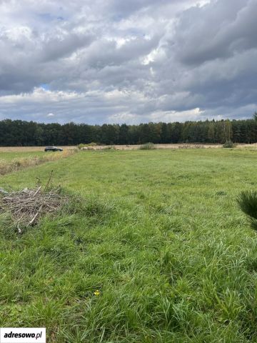 Działka budowlana Chełm Śląski. Zdjęcie 1