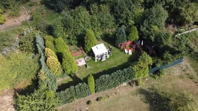 Mieszkanie 3-pokojowe Zdbowo. Zdjęcie 5