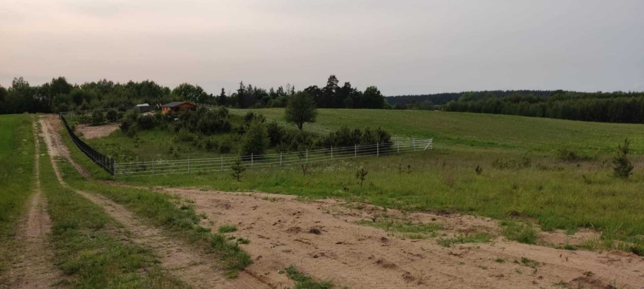 Działka rolno-budowlana Ostrowite. Zdjęcie 6