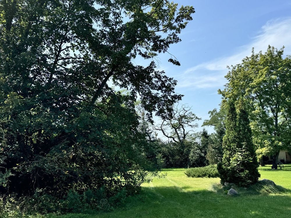 Nieruchomość komercyjna Podłężyce. Zdjęcie 2