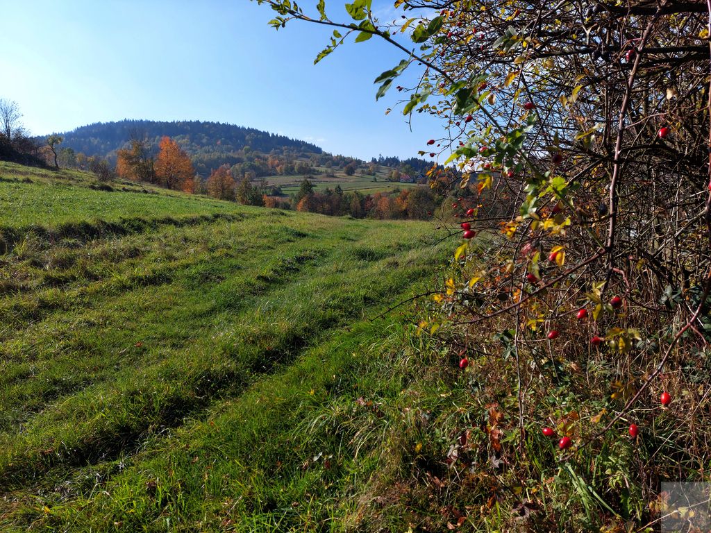 Działka budowlana Skomielna Czarna. Zdjęcie 7