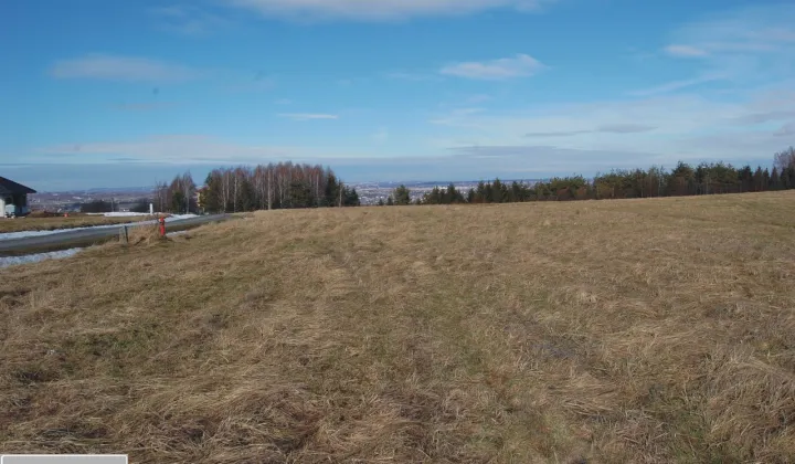 Działka rolna Lubenia