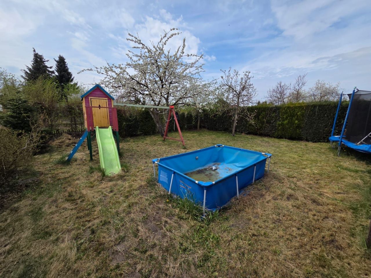 Działka rod Sulechów. Zdjęcie 2