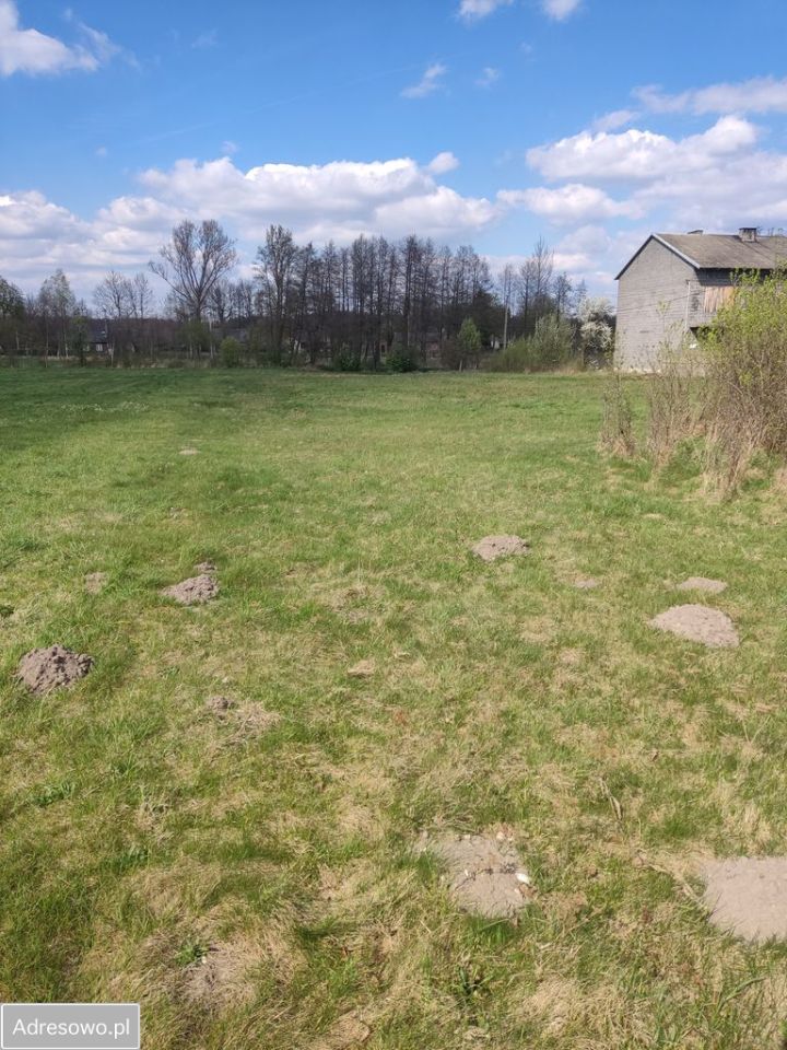 Działka rolno-budowlana Lgota Błotna. Zdjęcie 4