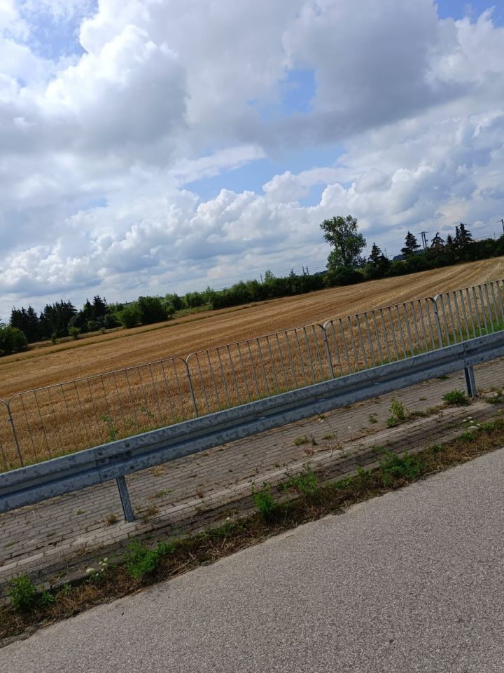 Działka budowlana Chruszczewo, ul. Bukowa. Zdjęcie 8