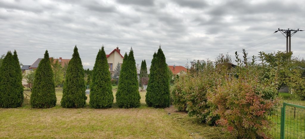Działka rod Poddębice. Zdjęcie 4