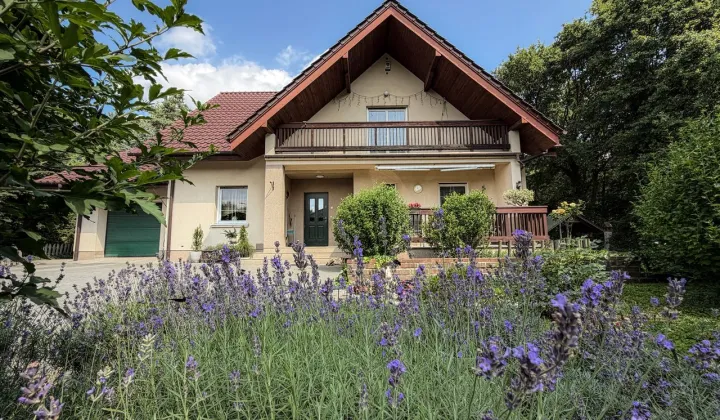 dom wolnostojący, 7 pokoi Kolonia Brużyca