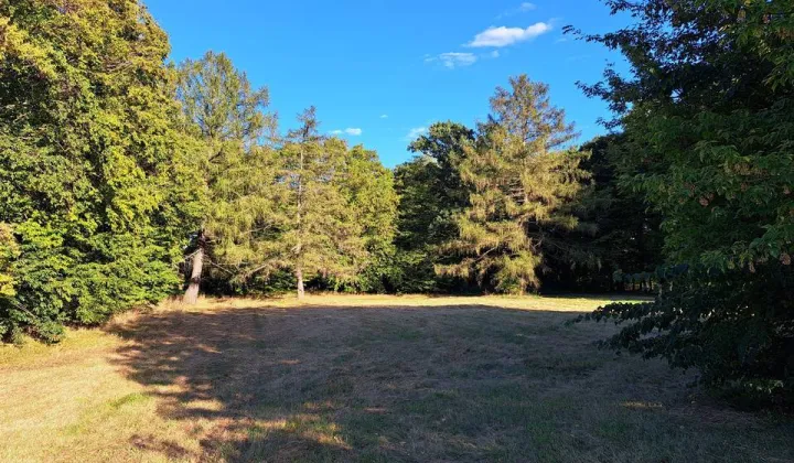 Działka inwestycyjna Somianka