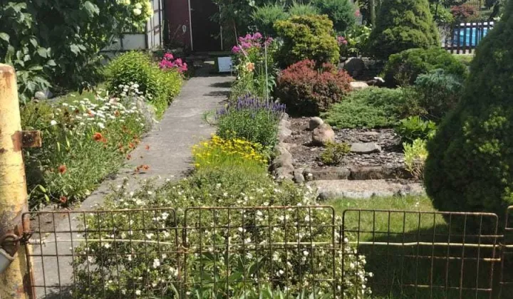 Działka rod Gniezno, ul. Kłeckoska