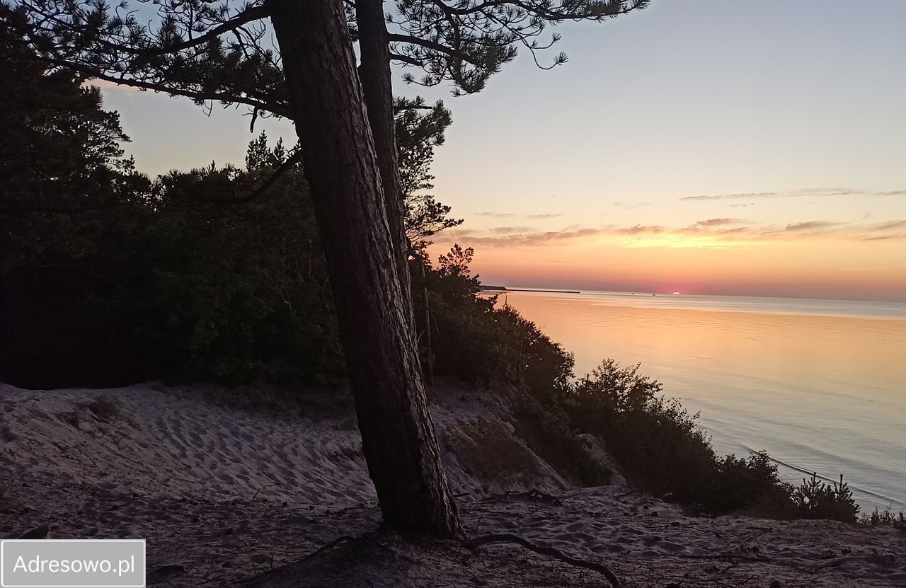 dom wolnostojący, 7 pokoi Starkowo. Zdjęcie 6