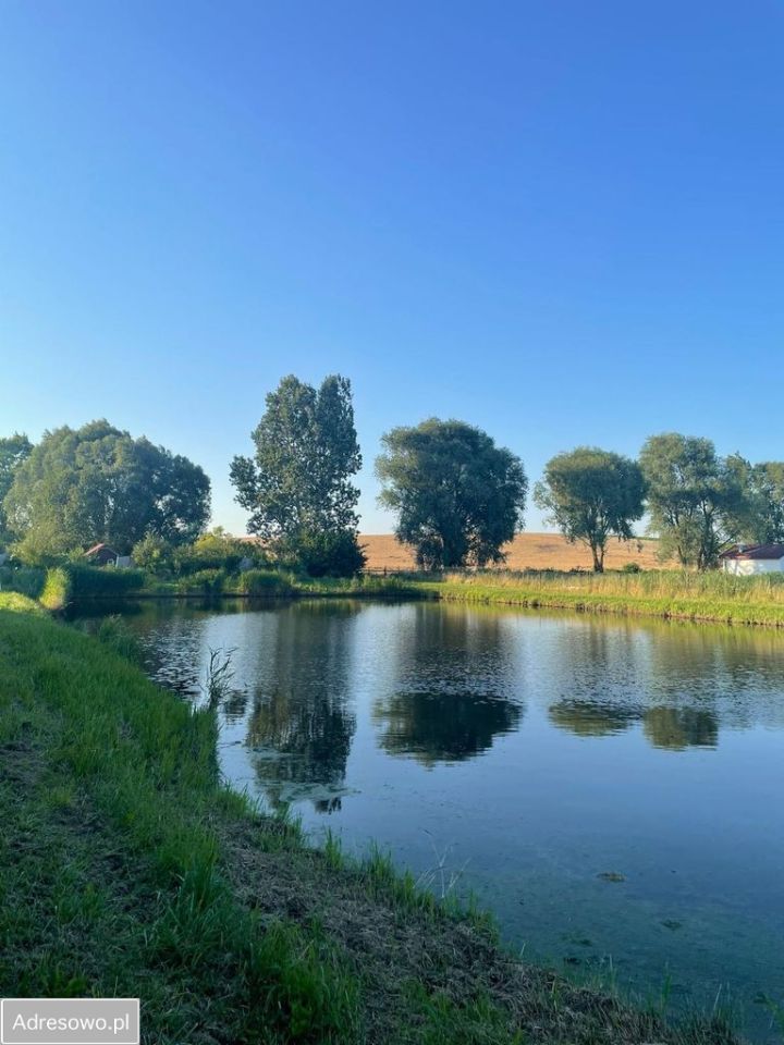 Działka siedliskowa Sulnowo. Zdjęcie 5