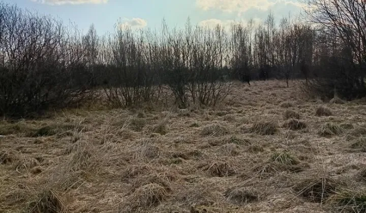 Działka rolna Modlinek