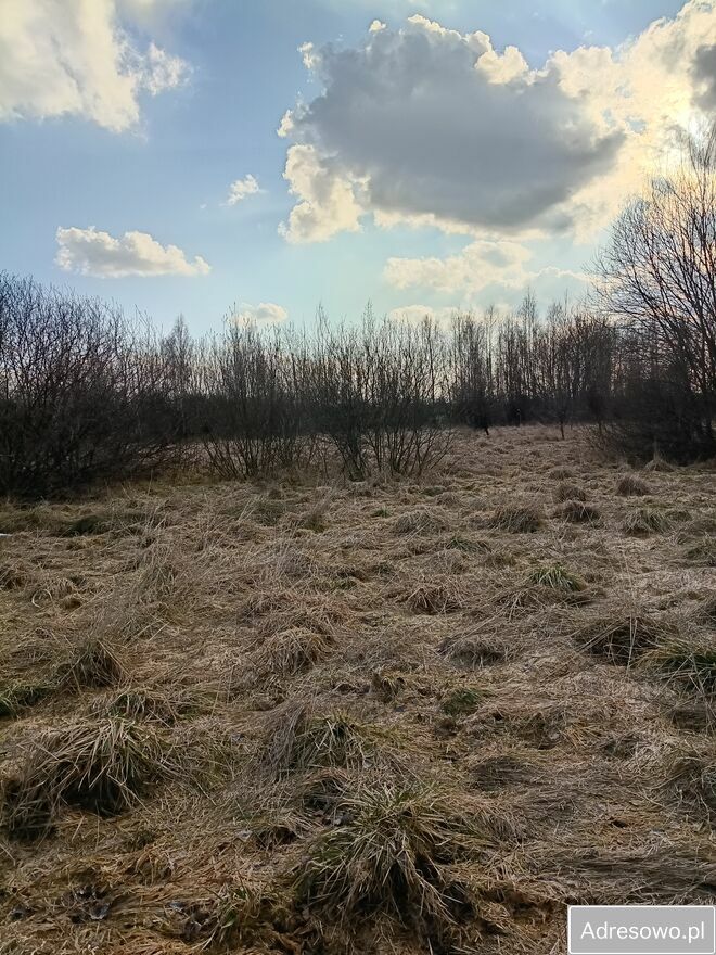 Działka rolna Modlinek. Zdjęcie 1