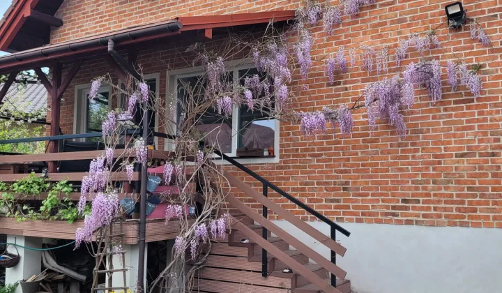 dom wolnostojący, 4 pokoje Sulejów Podklasztorze, ul. Kazimierza Jagiellończyka