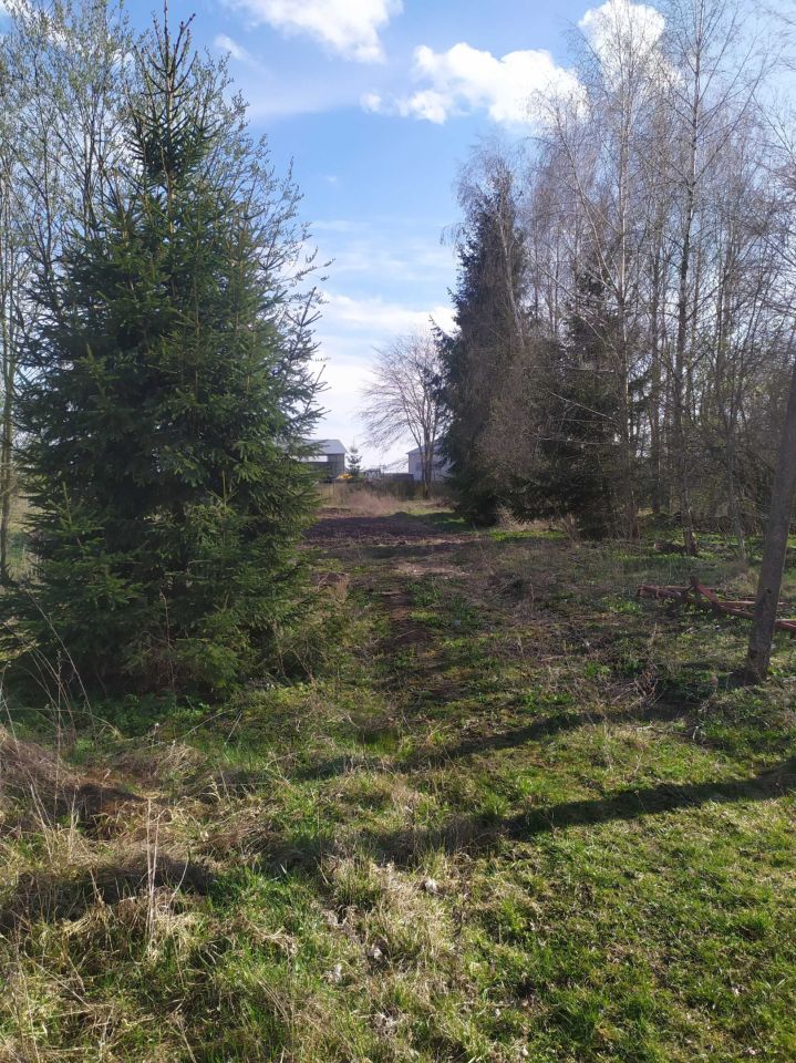 siedlisko Krzywińskie. Zdjęcie 2