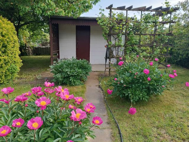 Działka rekreacyjna Poznań Ławica, ul. Bukowska. Zdjęcie 1