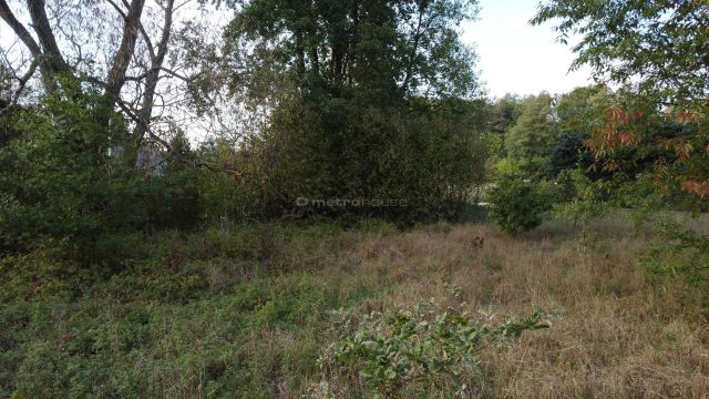 Działka rekreacyjna Popowo-Parcele. Zdjęcie 8