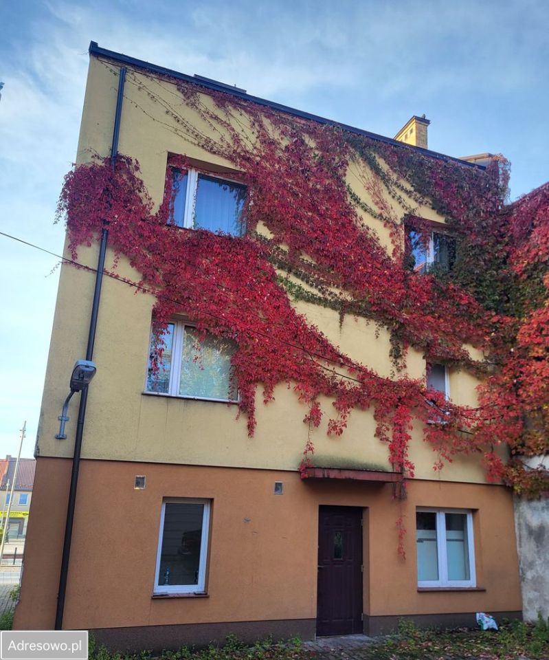 kamienica Starachowice Centrum, pl. Rynek. Zdjęcie 3