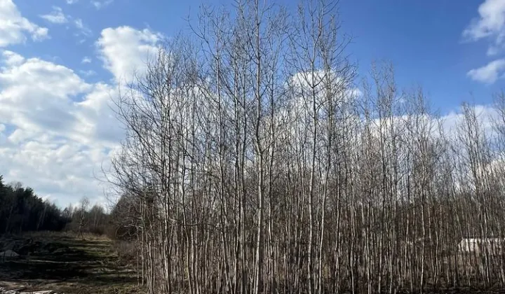 Działka budowlana Masłów Pierwszy