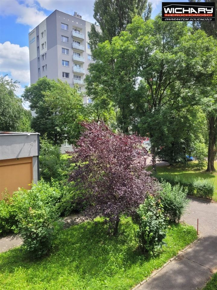 Mieszkanie 2-pokojowe Katowice Dąb. Zdjęcie 2