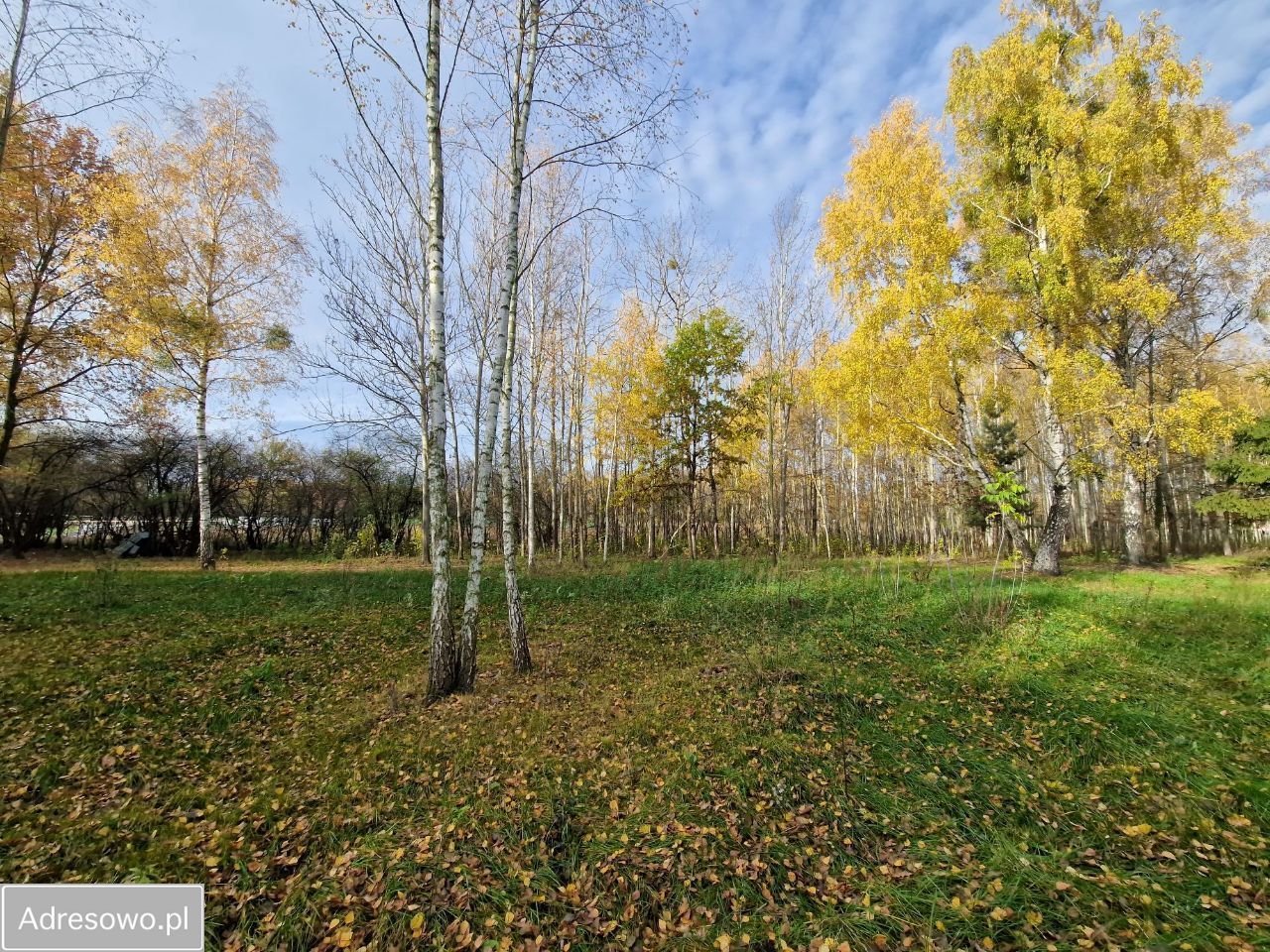 Działka budowlana Cholewy. Zdjęcie 5