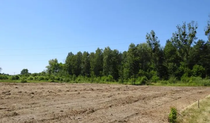 Działka budowlana Dobieszowice, ul. Niebyła