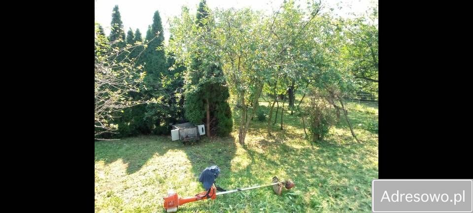 Działka rod Wrocław Tarnogaj, ul. Bardzka. Zdjęcie 5