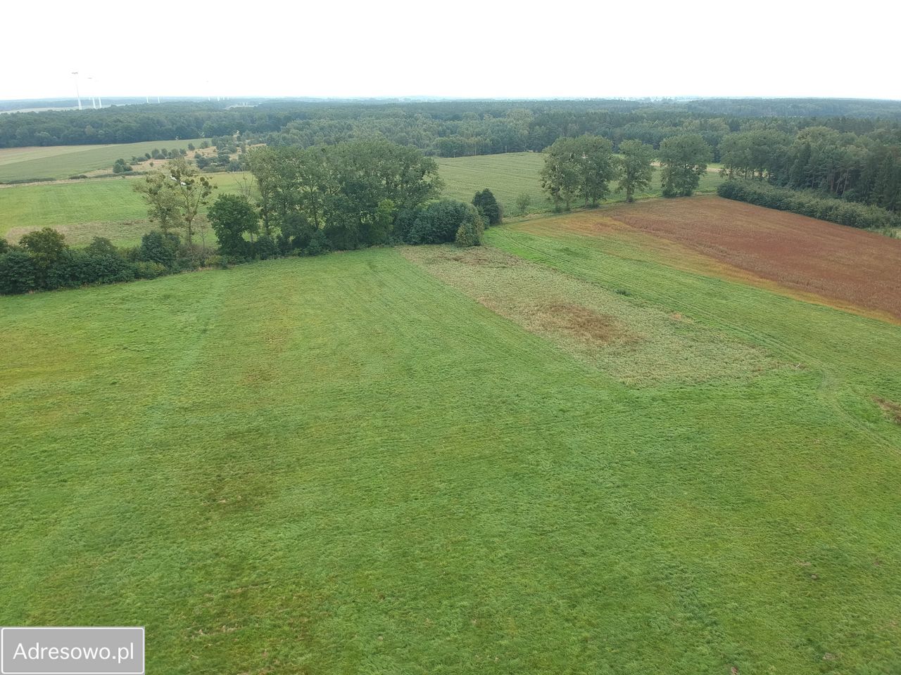 Działka rolna Stawno. Zdjęcie 2
