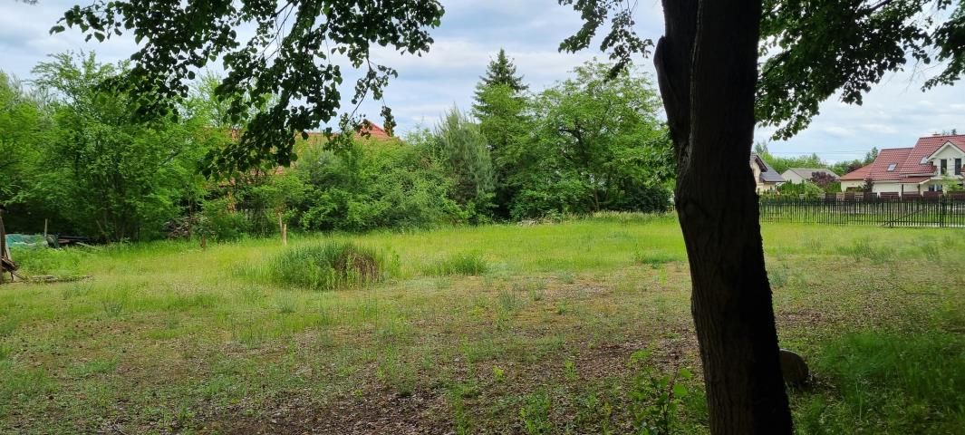 Działka budowlana Rozalin. Zdjęcie 2