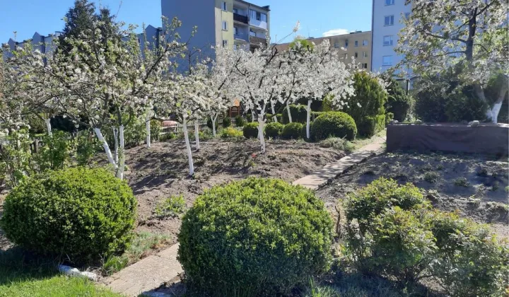 Działka rod Lębork