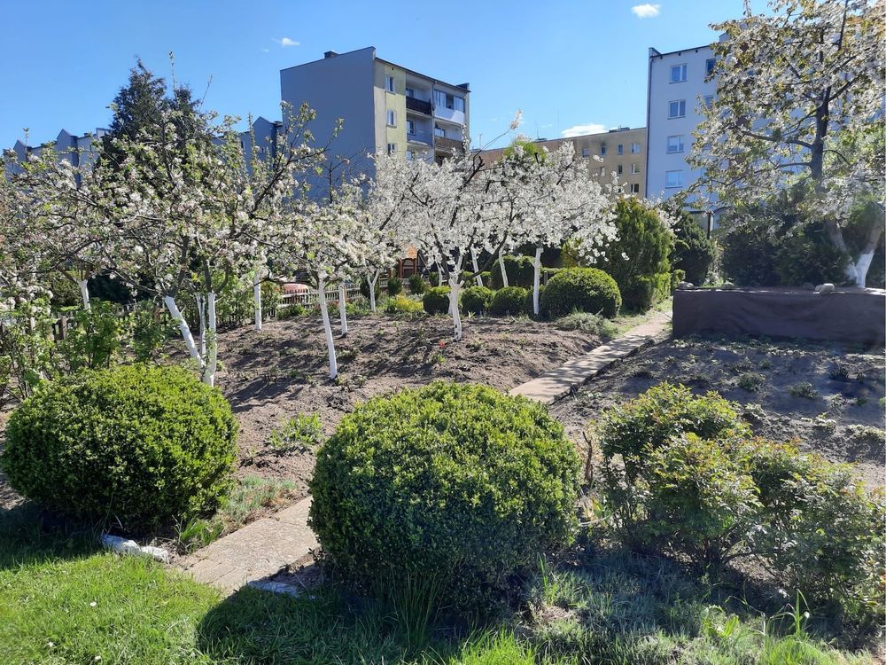 Działka rod Lębork. Zdjęcie 1