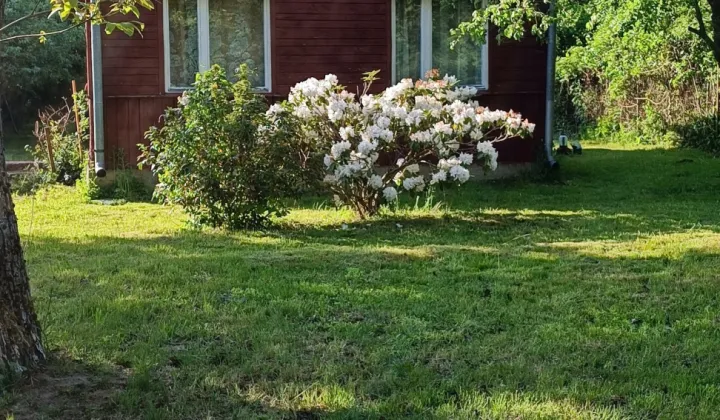 Działka rolno-budowlana Żebrówka