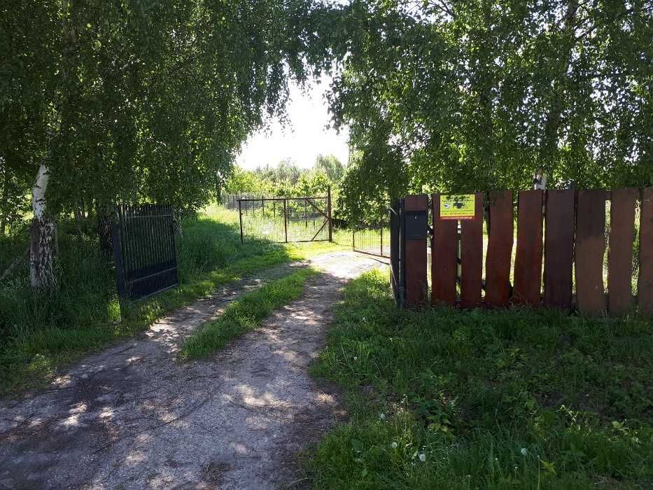 dom wolnostojący Chudzynek. Zdjęcie 3