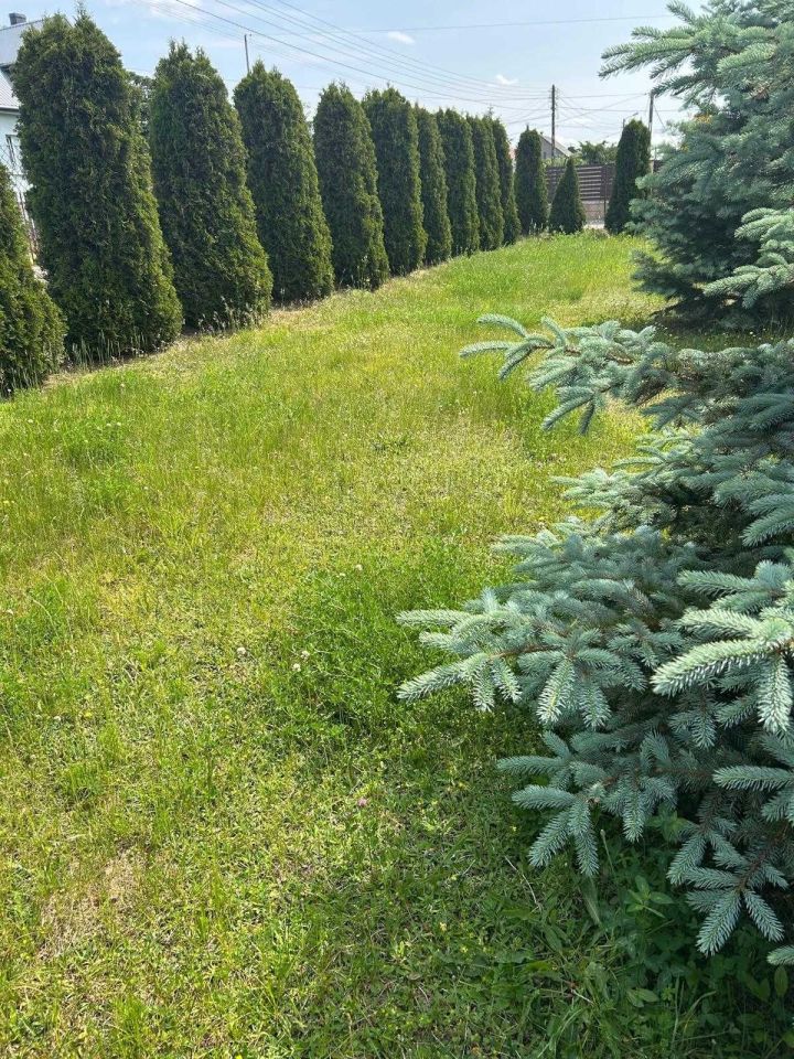 Działka budowlana Widowo. Zdjęcie 3