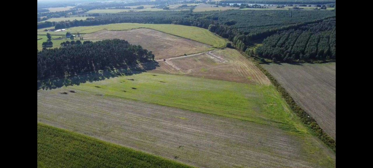 Działka budowlana Smolna. Zdjęcie 8