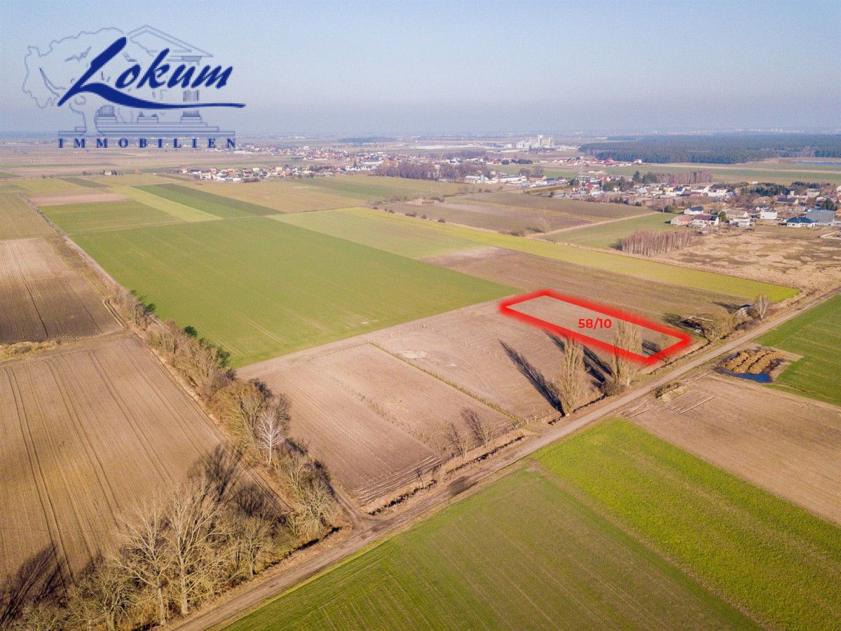 Działka siedliskowa Przybyszewo. Zdjęcie 3