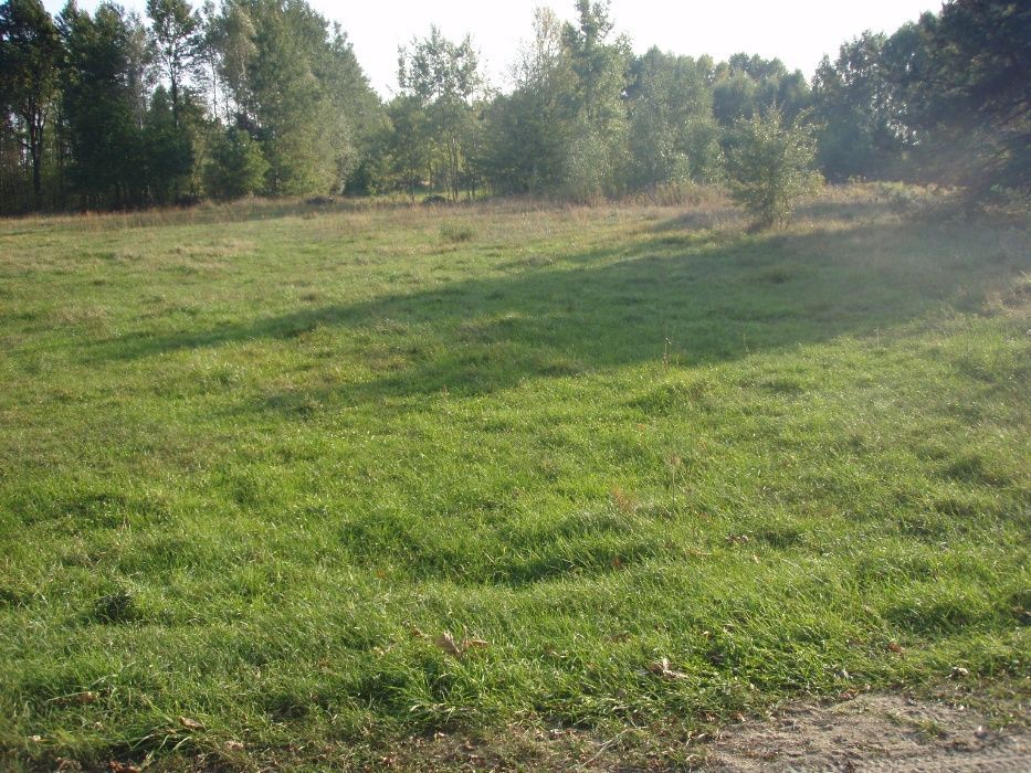 Działka budowlana Kołaków, ul. Walecznych. Zdjęcie 2